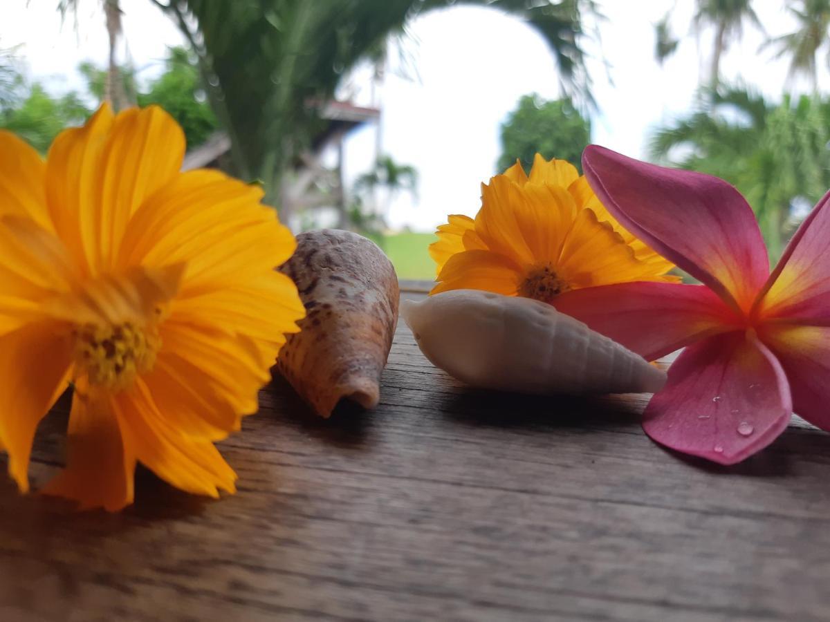 Daluyong Beach Resort General Luna  Zewnętrze zdjęcie