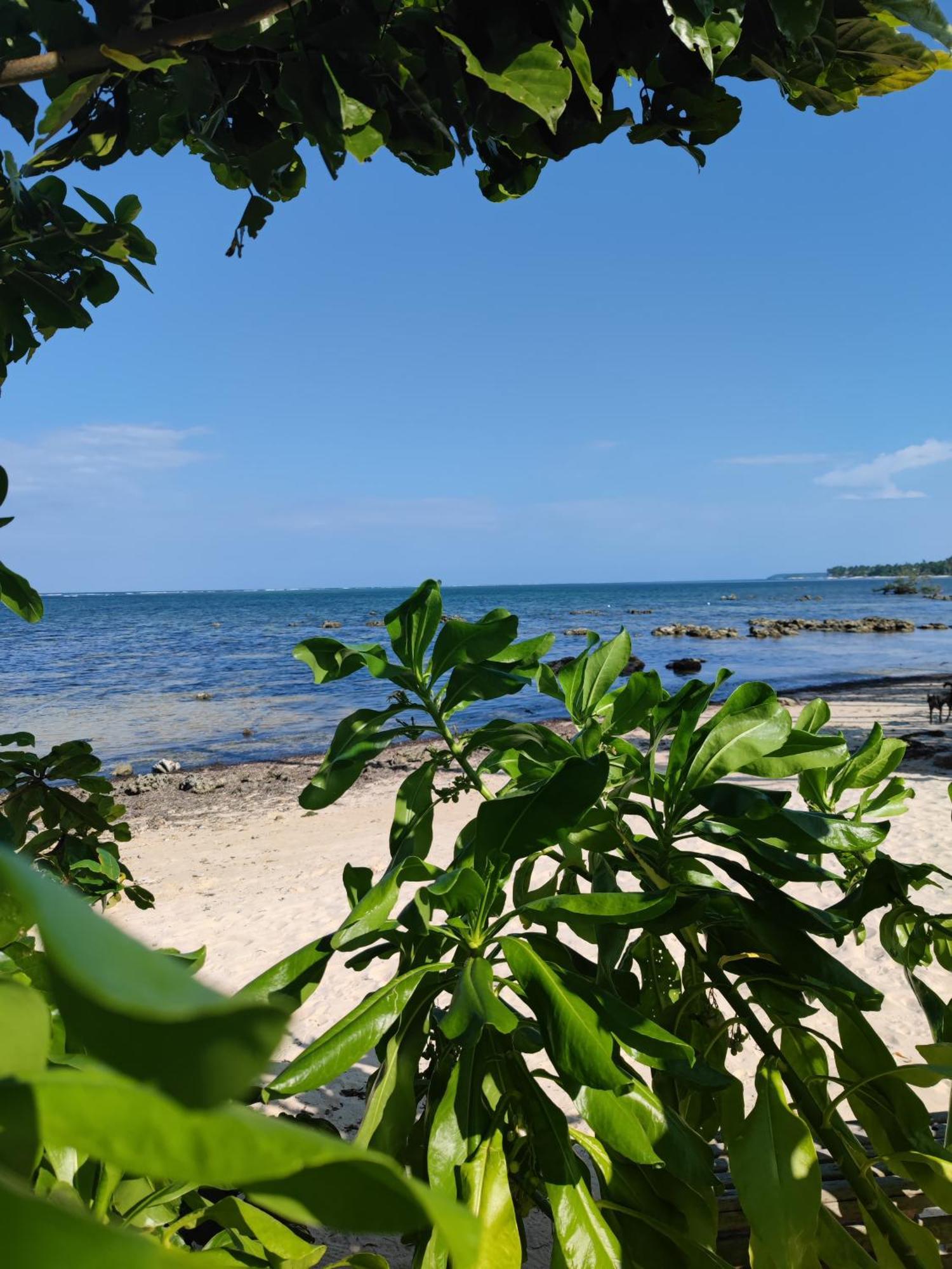Daluyong Beach Resort General Luna  Zewnętrze zdjęcie