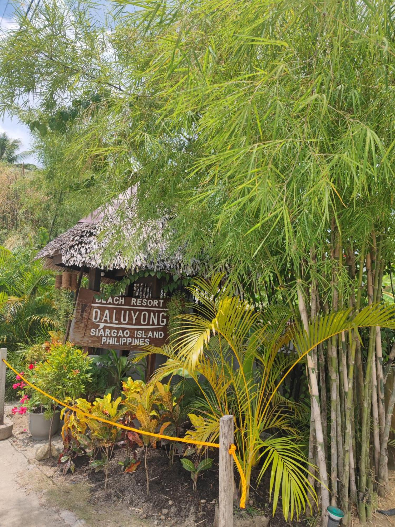 Daluyong Beach Resort General Luna  Zewnętrze zdjęcie